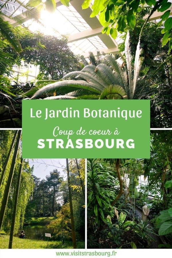 Appartement 6 Personnes Strasbourg Proche Centre Ville & Parking エクステリア 写真